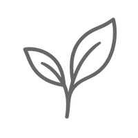 Green Tea icon